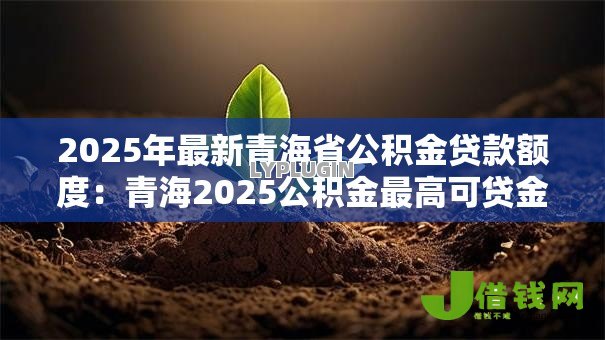2025年最新青海省公积金贷款额度:青海2025公积金最高可贷金额是多少 2025年最新青海省公积金贷款额度:青海2025公积金最高可贷金额是多少