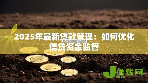 2025年最新贷款管理：如何优化信贷资金监管
