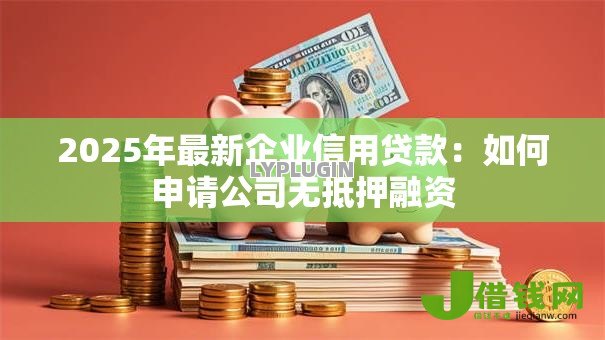 2025年最新企业信用贷款:如何申请公司无抵押融资 2025年最新企业信用贷款:如何申请公司无抵押融资