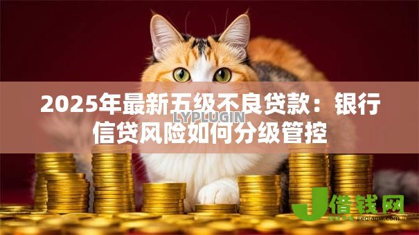 2025年最新五级不良贷款:银行信贷风险如何分级管控 2025年最新五级不良贷款:银行信贷风险如何分级管控