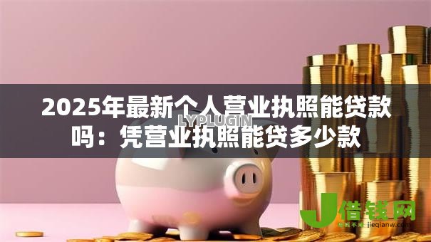 2025年最新个人营业执照能贷款吗：凭营业执照能贷多少款
