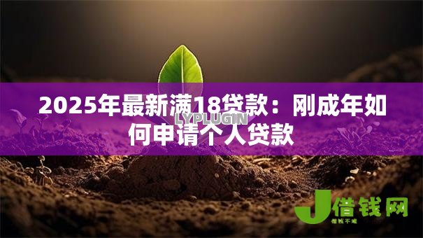2025年最新满18贷款：刚成年如何申请个人贷款