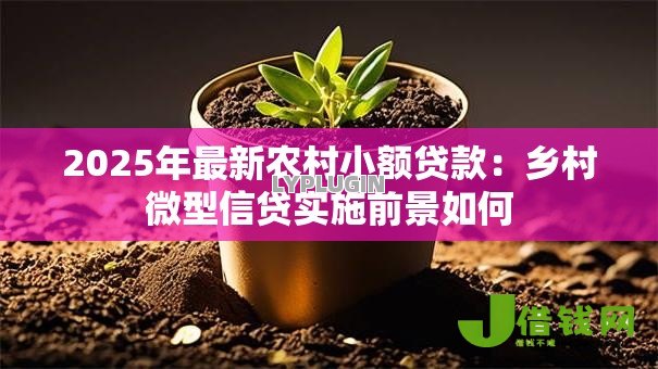 2025年最新农村小额贷款:乡村微型信贷实施前景如何 2025年最新农村小额贷款:乡村微型信贷实施前景如何