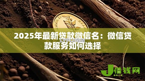 2025年最新贷款微信名:微信贷款服务如何选择 2025年最新贷款微信名:微信贷款服务如何选择