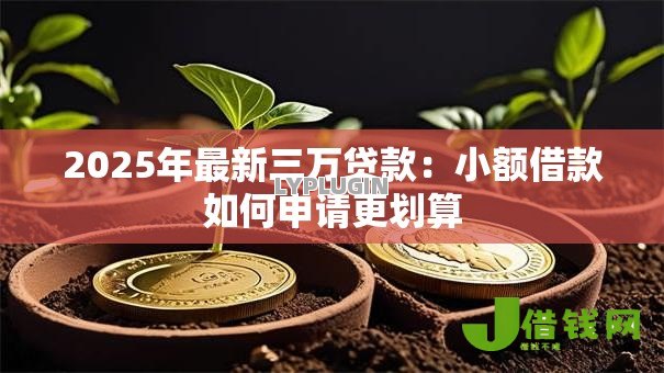 2025年最新三万贷款:小额借款如何申请更划算 2025年最新三万贷款:小额借款如何申请更划算
