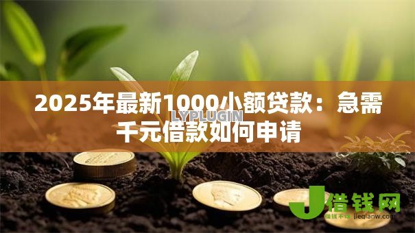 2025年最新1000小额贷款：急需千元借款如何申请