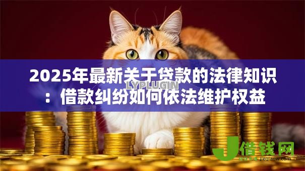 2025年最新关于贷款的法律知识：借款纠纷如何依法维护权益