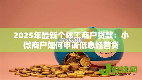 2025年最新个体工商户贷款:小微商户如何申请低息经营贷 2025年最新个体工商户贷款:小微商户如何申请低息经营贷
