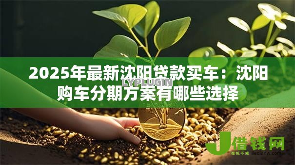 2025年最新沈阳贷款买车：沈阳购车分期方案有哪些选择