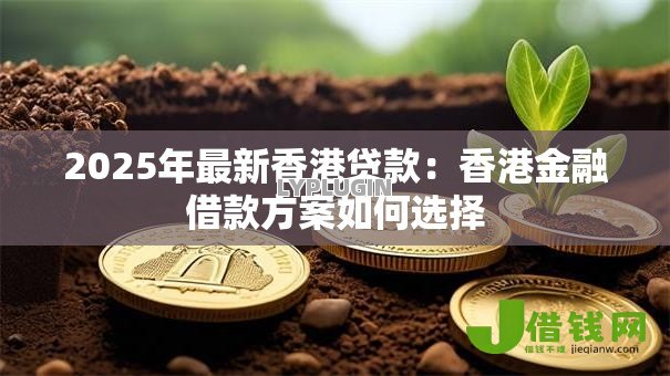 2025年最新香港贷款:香港金融借款方案如何选择 2025年最新香港贷款:香港金融借款方案如何选择