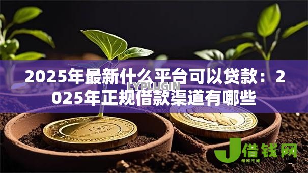 2025年最新什么平台可以贷款：2025年正规借款渠道有哪些