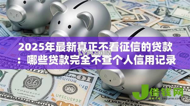 2025年最新真正不看征信的贷款:哪些贷款完全不查个人信用记录 2025年最新真正不看征信的贷款:哪些贷款完全不查个人信用记录