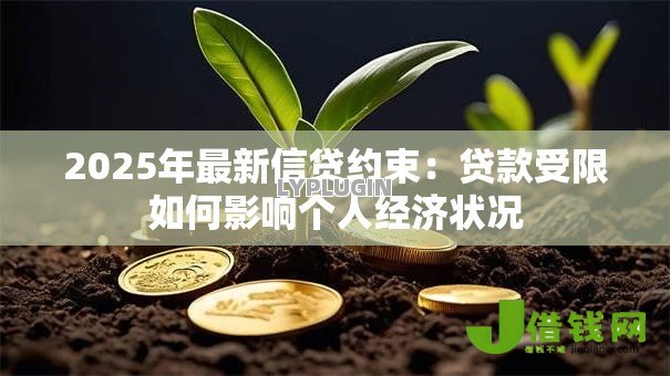 2025年最新信贷约束:贷款受限如何影响个人经济状况 2025年最新信贷约束:贷款受限如何影响个人经济状况