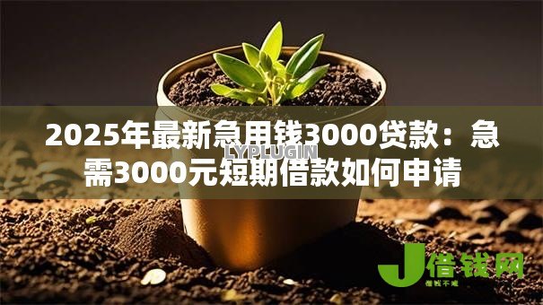 2025年最新急用钱3000贷款:急需3000元短期借款如何申请 2025年最新急用钱3000贷款:急需3000元短期借款如何申请