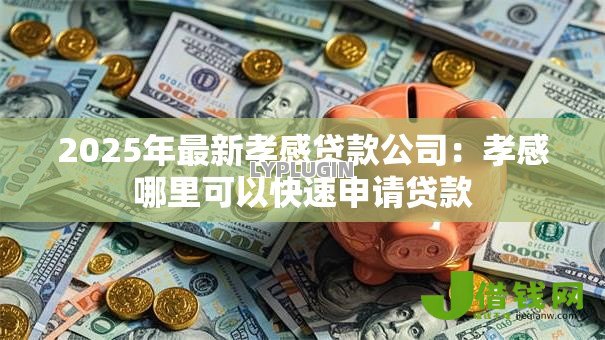 2025年最新孝感贷款公司：孝感哪里可以快速申请贷款