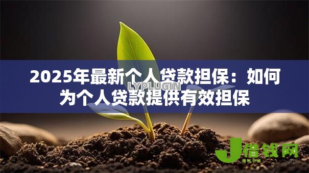 2025年最新个人贷款担保：如何为个人贷款提供有效担保