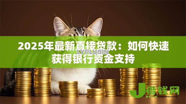 2025年最新直接贷款:如何快速获得银行资金支持 2025年最新直接贷款:如何快速获得银行资金支持