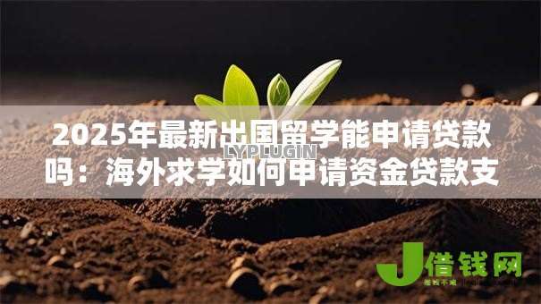 2025年最新出国留学能申请贷款吗:海外求学如何申请资金贷款支持 2025年最新出国留学能申请贷款吗:海外求学如何申请资金贷款支持