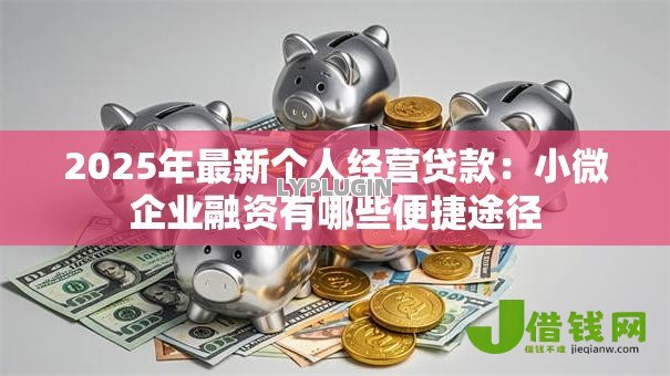 2025年最新个人经营贷款:小微企业融资有哪些便捷途径 2025年最新个人经营贷款:小微企业融资有哪些便捷途径