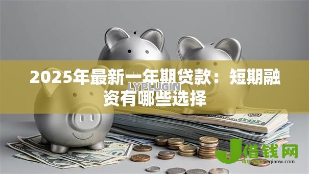 2025年最新一年期贷款:短期融资有哪些选择 2025年最新一年期贷款:短期融资有哪些选择
