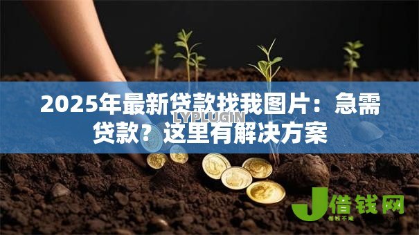 2025年最新贷款找我图片：急需贷款？这里有解决方案