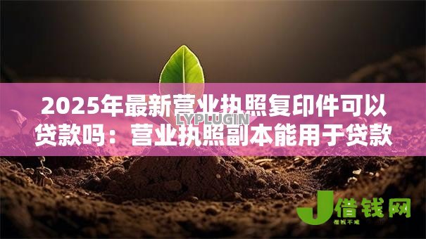 2025年最新营业执照复印件可以贷款吗：营业执照副本能用于贷款吗