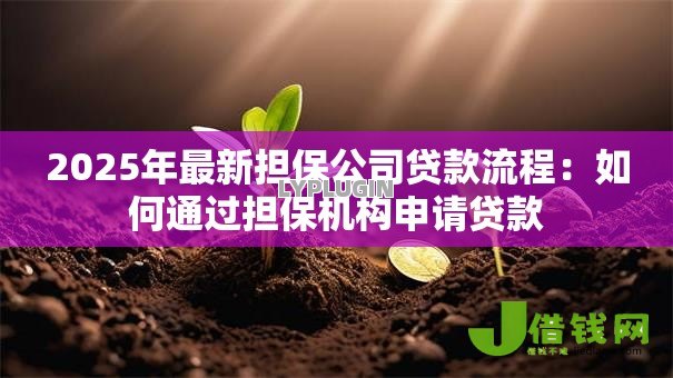 2025年最新担保公司贷款流程:如何通过担保机构申请贷款 2025年最新担保公司贷款流程:如何通过担保机构申请贷款
