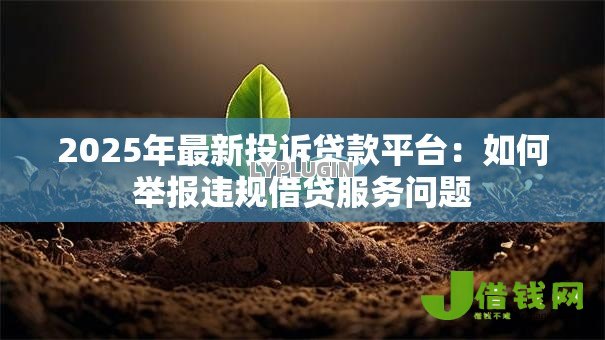 2025年最新投诉贷款平台：如何举报违规借贷服务问题
