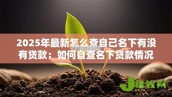 2025年最新怎么查自己名下有没有贷款:如何自查名下贷款情况 2025年最新怎么查自己名下有没有贷款:如何自查名下贷款情况