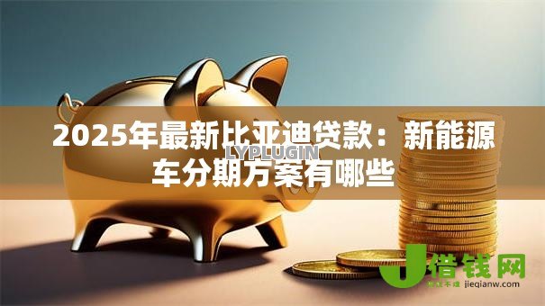 2025年最新比亚迪贷款：新能源车分期方案有哪些