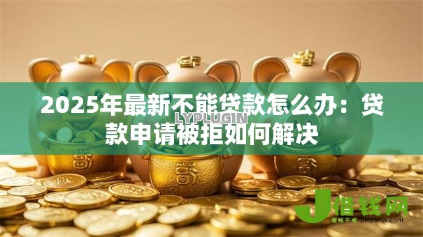 2025年最新不能贷款怎么办:贷款申请被拒如何解决 2025年最新不能贷款怎么办:贷款申请被拒如何解决