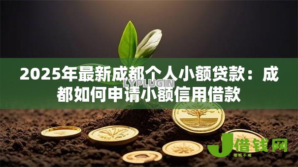 2025年最新成都个人小额贷款:成都如何申请小额信用借款 2025年最新成都个人小额贷款:成都如何申请小额信用借款