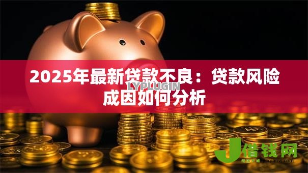2025年最新贷款不良:贷款风险成因如何分析 2025年最新贷款不良:贷款风险成因如何分析