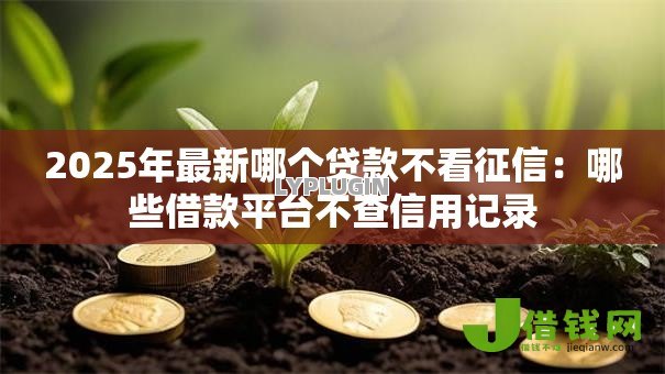 2025年最新哪个贷款不看征信:哪些借款平台不查信用记录 2025年最新哪个贷款不看征信:哪些借款平台不查信用记录