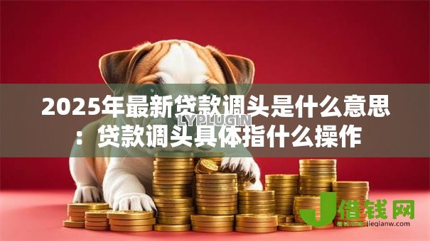 2025年最新贷款调头是什么意思:贷款调头具体指什么操作 2025年最新贷款调头是什么意思:贷款调头具体指什么操作