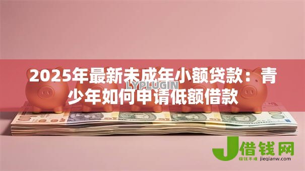 2025年最新未成年小额贷款:青少年如何申请低额借款 2025年最新未成年小额贷款:青少年如何申请低额借款