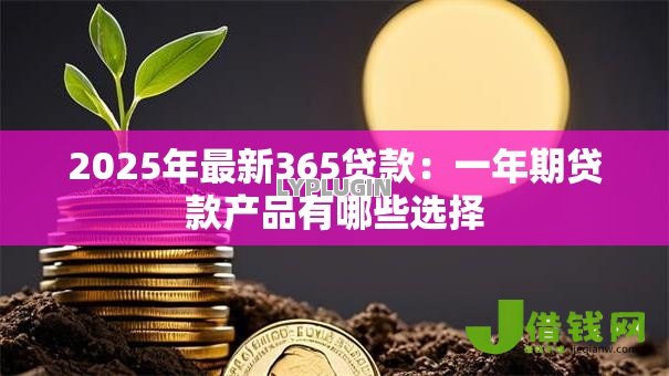 2025年最新365贷款：一年期贷款产品有哪些选择