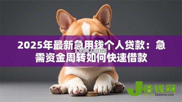 2025年最新急用钱个人贷款：急需资金周转如何快速借款