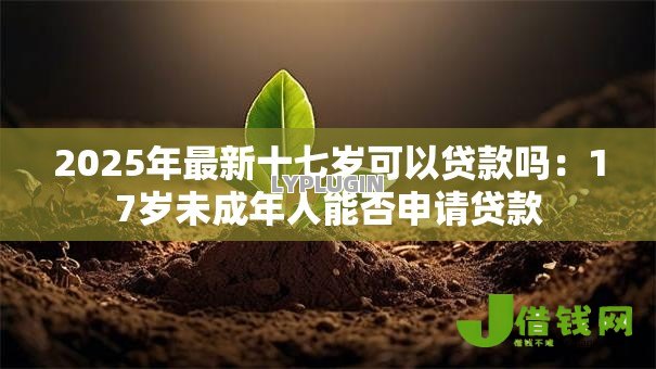 2025年最新十七岁可以贷款吗:17岁未成年人能否申请贷款 2025年最新十七岁可以贷款吗:17岁未成年人能否申请贷款
