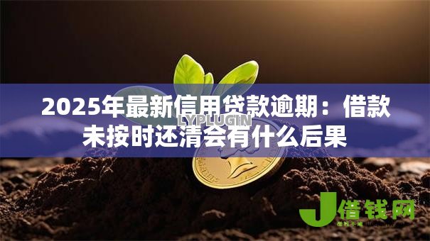 2025年最新信用贷款逾期:借款未按时还清会有什么后果 2025年最新信用贷款逾期:借款未按时还清会有什么后果