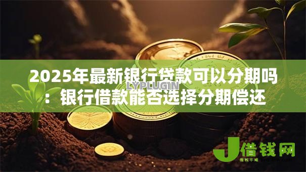 2025年最新银行贷款可以分期吗：银行借款能否选择分期偿还