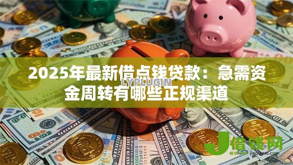 2025年最新借点钱贷款：急需资金周转有哪些正规渠道