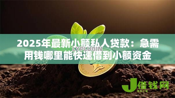 2025年最新小额私人贷款:急需用钱哪里能快速借到小额资金 2025年最新小额私人贷款:急需用钱哪里能快速借到小额资金