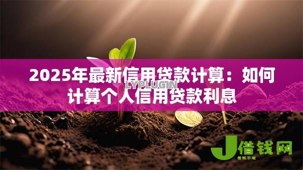 2025年最新信用贷款计算:如何计算个人信用贷款利息 2025年最新信用贷款计算:如何计算个人信用贷款利息
