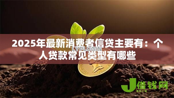 2025年最新消费者信贷主要有:个人贷款常见类型有哪些 2025年最新消费者信贷主要有:个人贷款常见类型有哪些