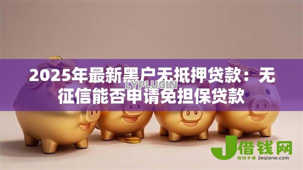 2025年最新黑户无抵押贷款:无征信能否申请免担保贷款 2025年最新黑户无抵押贷款:无征信能否申请免担保贷款