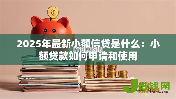 2025年最新小额信贷是什么:小额贷款如何申请和使用 2025年最新小额信贷是什么:小额贷款如何申请和使用