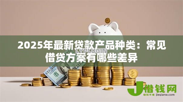 2025年最新贷款产品种类：常见借贷方案有哪些差异